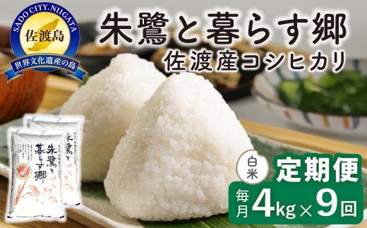 【定期便 令和8年産新米 9か月】 佐渡島産コシヒカリ 白米 4Kg(2kg×2袋） 令和8年産新米 特別栽培米 | 新潟県産コシヒカリ 新潟産コシヒカリ 佐渡産コシヒカリ 新潟県産こしひかり 佐渡産こしひかり お米 米 こしひかり 白米 精米 おこめ コメ 4キロ にいがた さど 新潟県 佐渡市
