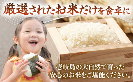 壱岐産米  こしひかり  10kg [JCZ019] 16000 16000円 米 お米 ごはん ご飯 こしひかり コシヒカリ 10kg おこめ 米 お米 ごはん ご飯 こしひかり コシヒカリ 10k