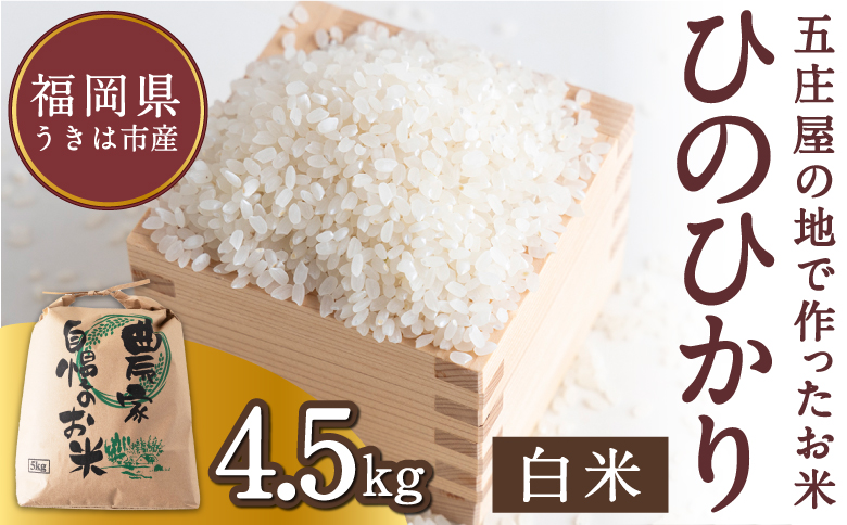 【特Aランク米】五庄屋の地で作ったお米 ひのひかり 白米 (4.5kg) 【2025年10月下旬より順次発送予定】 ヒノヒカリ こめ コメ ごはん ご飯 福岡県うきは市産 九州産