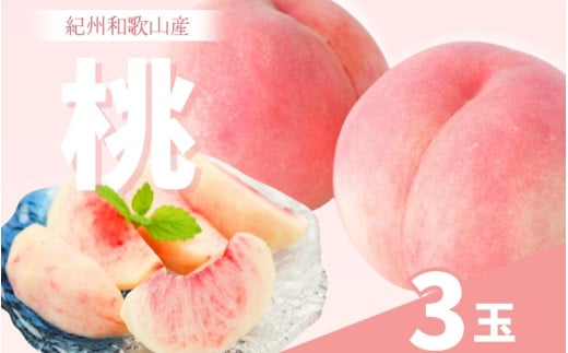 和歌山県産の桃 (3玉)【2025年6月中旬頃～8月上旬頃順次発送予定】 / 和歌山 もも 桃 甘い ギフト 贈り物 プレゼント 夏ギフト 果物 フルーツ 人気 産地直送 和歌山県 お取り寄せ【mat108】
