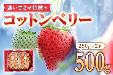 コットンベリー ゆりかーご 約500g (250g×2pc) 3～4月発送分　inn13
