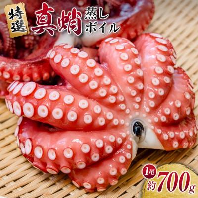 ふるさと納税 豊中市 特選 真蛸(蒸しボイル蛸)1尾　約700g前後　調理簡単便利!おかずの一品やお酒のお供に人気です。