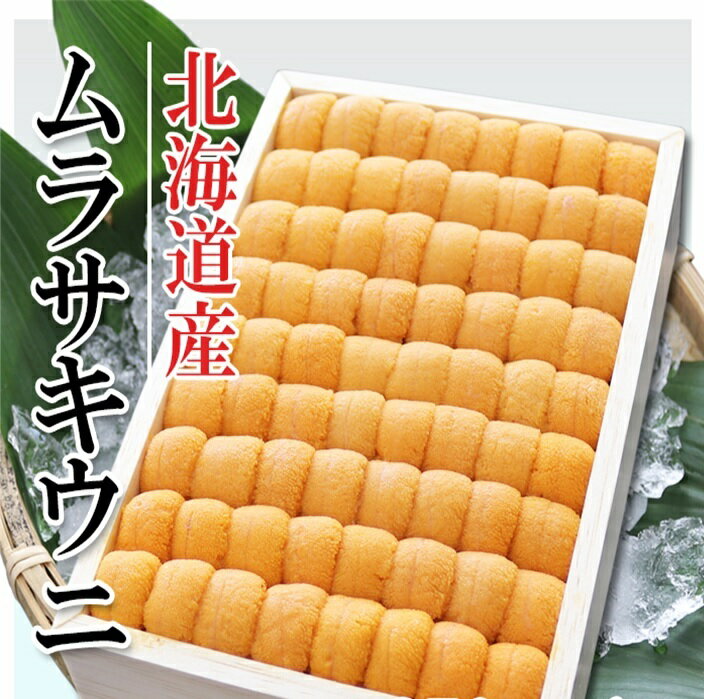 【ふるさと納税】 ムラサキウニ 250g 選べる 1 折 ~ 2 折 うに ウニ 雲丹 ムラサキうに むらさきうに 紫うに 紫ウニ 紫雲丹 ウニ丼 うに丼 雲丹丼 刺身 お取り寄せ グルメ 海鮮 折詰 北海道 根室市 ふるさと納税