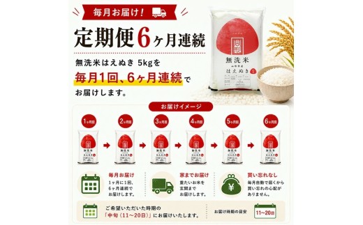 【定期便】無洗米はえぬき5kg×6ヶ月連続中旬発送 計30kg（2月～7月）