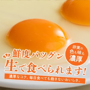 ☆彡9か月定期便☆彡　北杜のたまご（30個入） [h199]