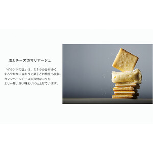 【東京ミルクチーズ工場】ソルト＆カマンベールクッキー9枚入2箱/蜂蜜＆ゴルゴンゾーラクッキー9枚入2箱セット