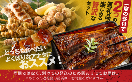 幻の青うなぎ＆名古屋コーチンセット　うなぎ 鶏肉
