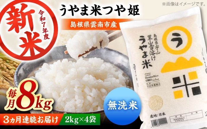 
            お米【全3回定期便】【無洗米】神話の里/吉田町「うやま米」つや姫 8kg（2kg×4）無洗米 精米 コメ おこめ お米 つやひめ 定期便 おすすめ 人気 米 ごはん ご飯 食卓 主食 ブランド米 お取り寄せ グルメ ご当地米 家族 ファミリー 一人暮らし 便利 おいしい ごはんソムリエ 国産 新生活 お弁当 朝ごはん 朝食 昼食 ご当地 島根県雲南市/有限会社藤本米穀店 [AIDB096]
          
