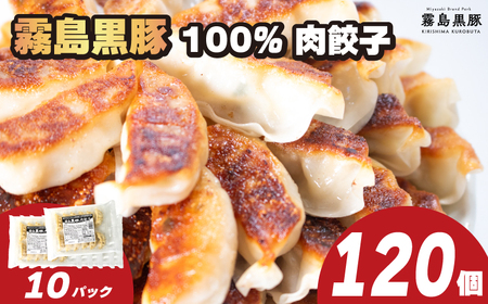 訳あり 霧島黒豚肉100％ 肉餃子 120個 冷凍 12個×10パック 小分け 冷凍餃子 大容量餃子 国産原料餃子 簡単調理餃子 ぎょうざ ギョーザ 肉 豚肉 九州産黒豚 10000円 加工食品 お手軽 簡単調理 惣菜 絶品 おかず 弁当 おつまみ 晩ごはん ( 餃子餃子餃子餃子餃子餃子餃子餃子餃子餃子餃子餃子餃子餃子餃子餃子餃子餃子餃子餃子餃子餃子餃子餃子餃子餃子餃子餃子餃子餃子餃子餃子餃子餃子餃子餃子餃子餃子餃子餃子餃子餃子餃子餃子餃子餃子餃子餃子餃子餃子餃子餃子餃子餃子餃子餃子餃子餃子餃子餃子餃子餃子