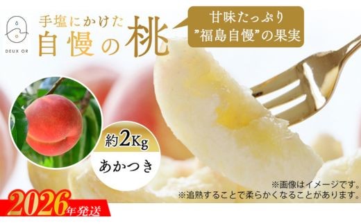 No.2669もも「あかつき」約2kg【2026年発送 先行予約】