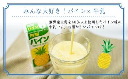 飛騨牛乳 フルーツ牛乳 詰め合わせ パックジュース  乳製品 飛騨産　飛騨高山　  TR3121 　