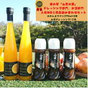 【ふるさと納税】和泉みかんとワイン2本(375ml)と山愛ドレッシング3本セット【1498060】