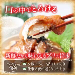 訳あり  ブリ 漬け丼 1食 80g × 10P 【漬け丼】