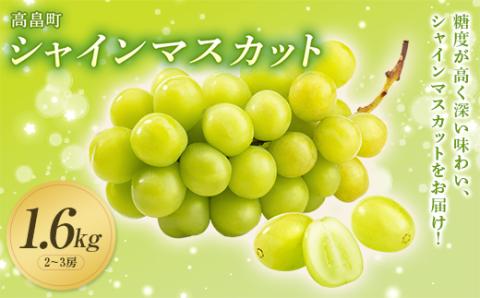 《先行予約》2024年 山形県 高畠町産 シャインマスカット 1.6kg( 2～3房) 2024年10月中旬から順次発送 ぶどう ブドウ 葡萄 F20B-735