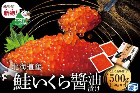 いくら！いくら！いくら！北海道産いくら醤油漬け 500g　（ いくら イクラ 鮭卵 醤油漬け 北海道 野付 別海町 人気 ふるさと納税   ）