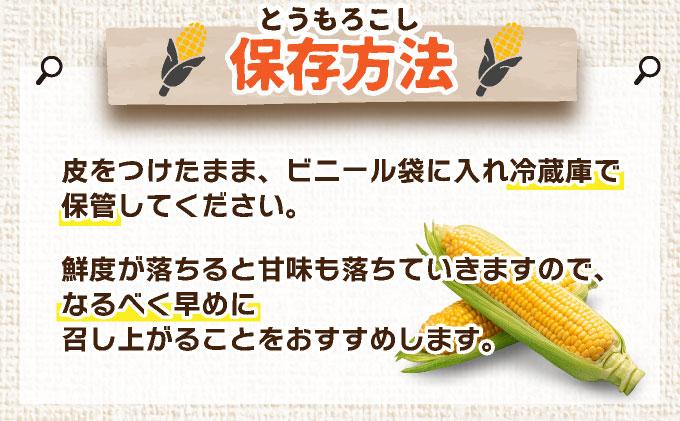 ＜先行予約＞北海道産 とうもろこし 恵味 Lサイズ 10本【55250484】トウモロコシ とうきび コーン スイートコーン 国産 野菜 人気 ふじいファーム