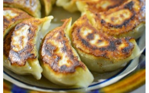 焼・蒸・茹・煮　四変化のよくばり餃子　60個 / 餃子 ぎょうざ ギョウザ ギョーザ 国産 冷凍 / 諫早市 / 杏てい [AHBT006]