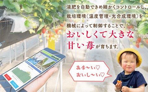 《2026年発送》【数量・期間限定】宮崎完熟白9PREMIUMギフト 完熟 甘い 白苺 いちご イチゴ 苺 果物 フルーツ_M279-007