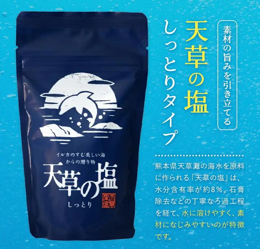 天草の塩・極上職人のうまかだしセット 天草の塩(しっとりタイプ) 200g 極上職人のうまかだし 8g×30包 九電産業株式会社 《30日以内に出荷予定(土日祝除く)》熊本県 苓北町 塩 だし sal