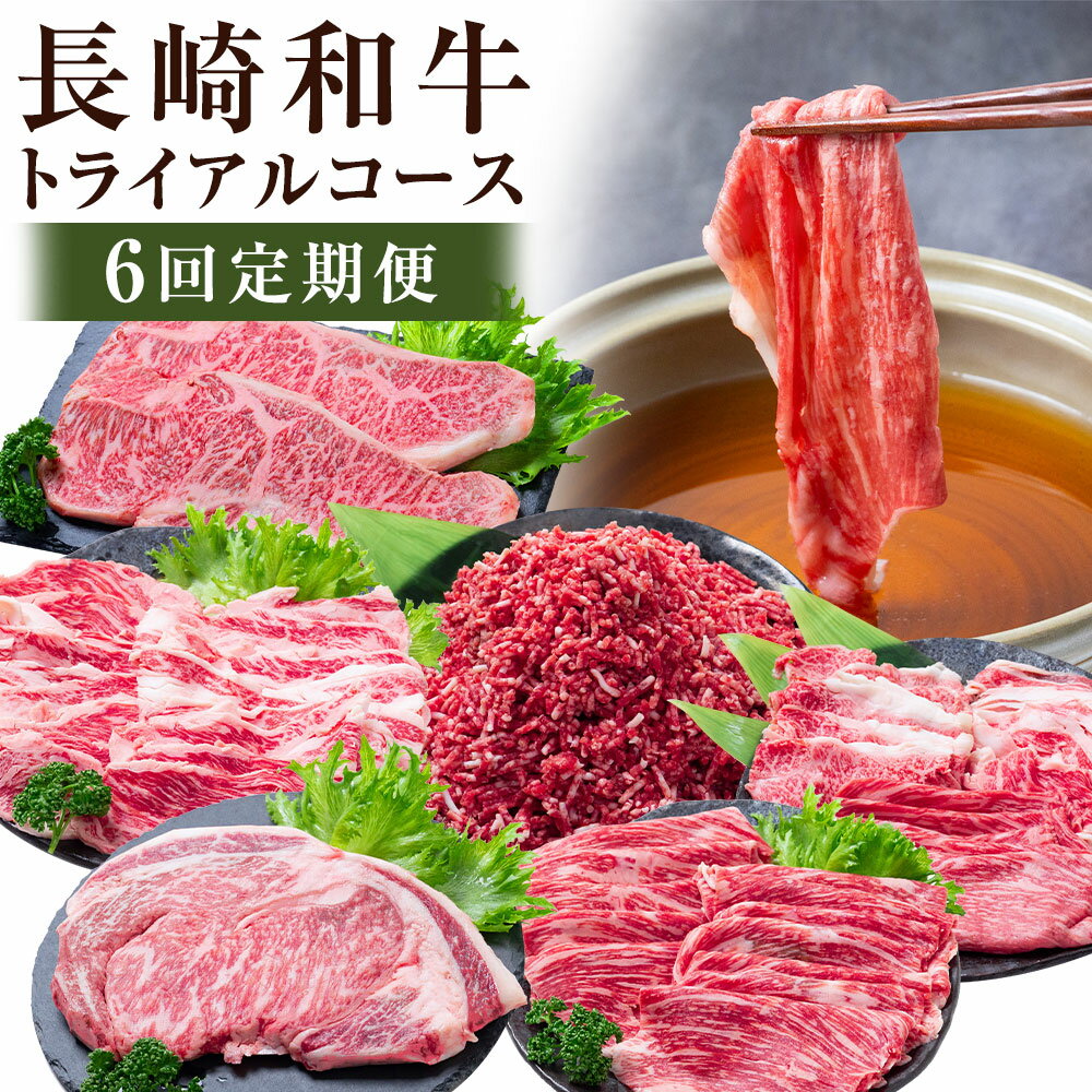 【ふるさと納税】【年6回定期便】 長崎和牛 トライアルコース / 6回定期便 黒毛和種 黒毛和牛 和牛 牛 牛肉 肉類 お肉 肉 霜降り グルメ セット コース 薄切り ステーキ 焼き肉 焼肉 すき焼き しゃぶしゃぶ 定期便 長崎県 長崎市 冷凍 送料無料
