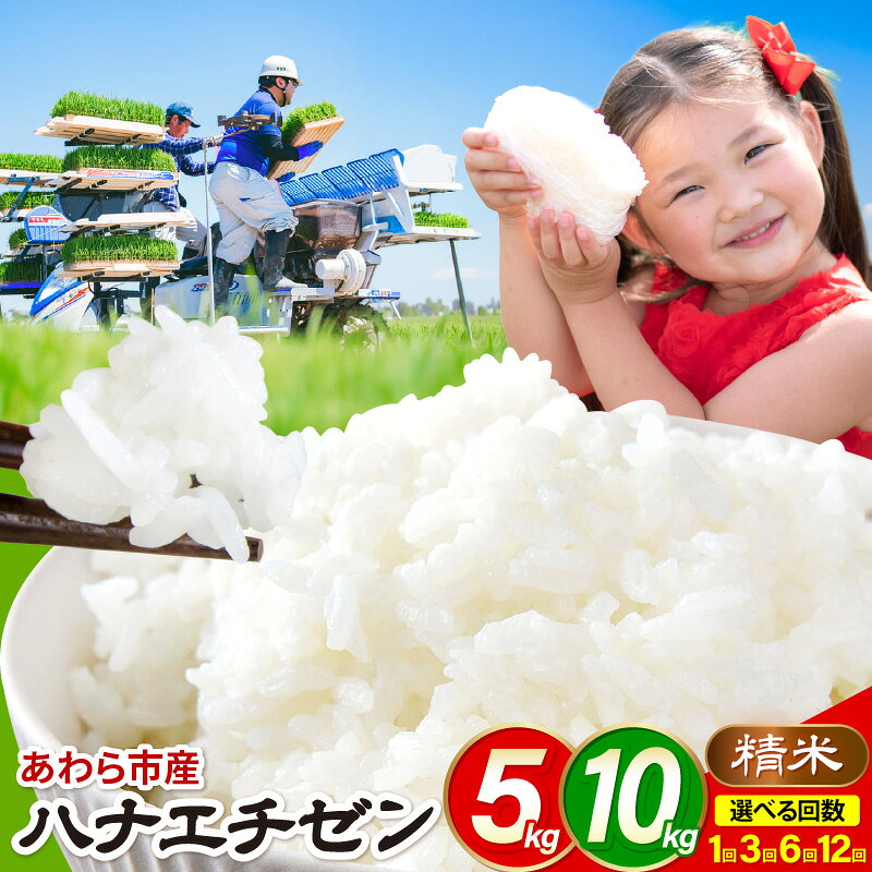 【ふるさと納税】【先行予約】【令和8年産】ハナエチゼン 精米 5kg 10kg 【選べる容量・定期便】（農事組合法人イーノなかのはま100） / 北陸 福井県産 あわら市 ブランド米 白米 お米 コメ ※2026年10月より順次発送予定