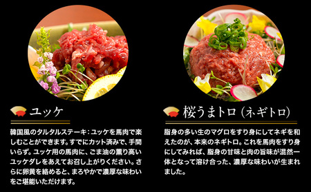 【6ヶ月定期便】プレミアム 馬刺し 460g |馬刺し