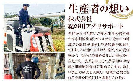 令和6年産 米 5kg  お米 白米 5キロ 紀の川応援米《30日以内に出荷予定（土日祝除く）》和歌山県 紀の川市 送料無料 国産 こめ 米 白米 精米