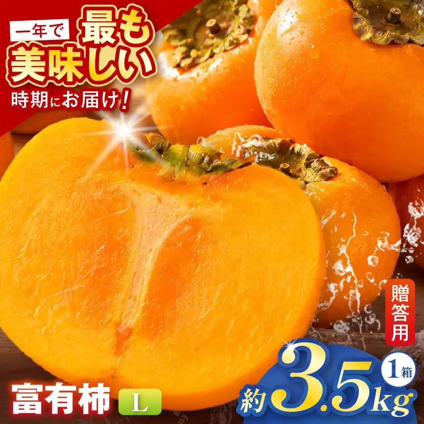 【贈答用】先行予約 令和8年11月中旬順次発送 富有柿 ( Lサイズ ・ 14個 ／ 3.5kg ) 1箱 | さのっち農園