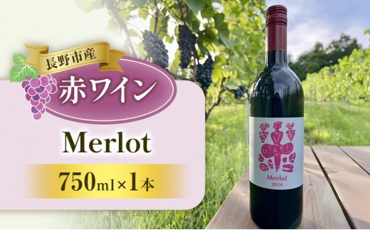 
                  Merlot　（ワイン）
                