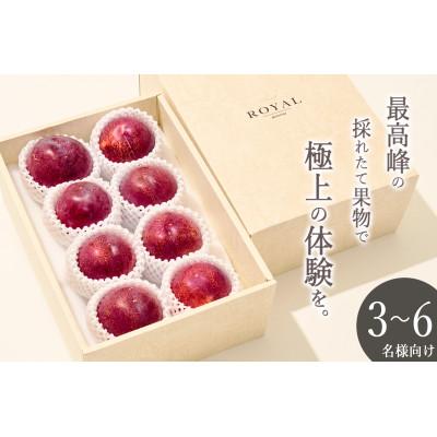 ふるさと納税 甲州市 &lt;2025年先行受付&gt;甲州市産 大玉 貴陽 8個(約2.1kg)