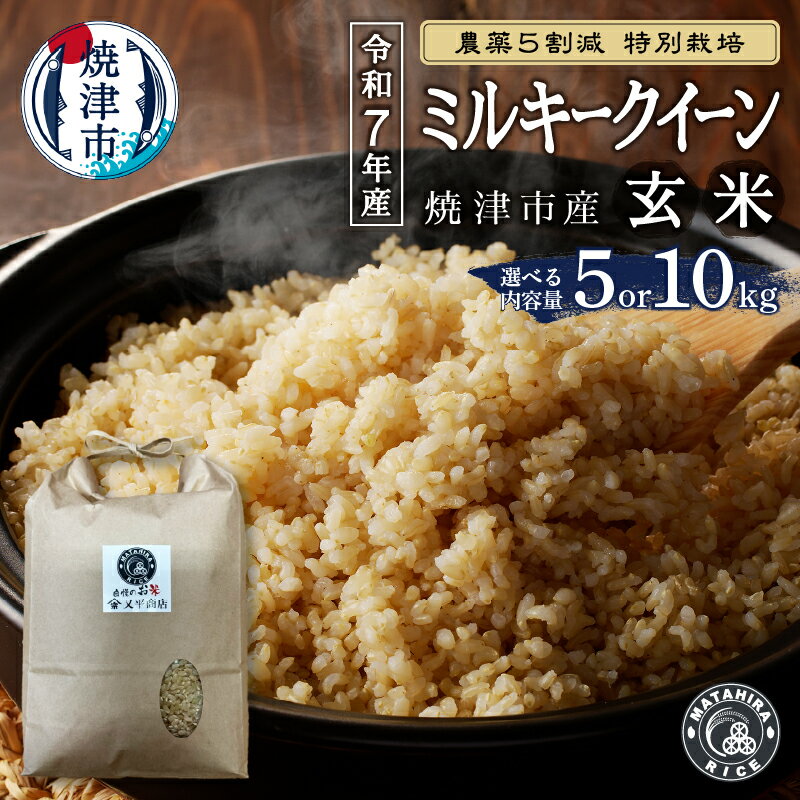 【ふるさと納税】 【選べる内容量】 米 玄米 新米 令和7年産 ミルキークイーン 農薬5割減 特別栽培 安心 安全 5kg 10kg（5kg×2袋） ごはん 焼津 a18-103