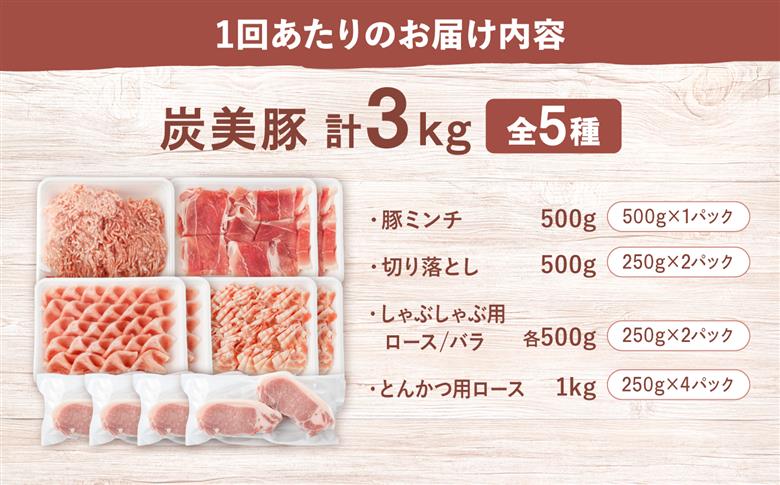 【12回定期便】 西海市産 「炭美豚」 豚肉詰め合わせ バラエティセット　計3kg （5種）＜宮本畜産＞ 豚肉 セット 豚 便利 しゃぶしゃぶ 切り落とし バラ ロース 冷凍 国産 料理 使いやすい 甘い 塊 ブランド豚 ポーク 長崎 西海 [CFA096]
