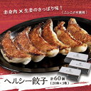 【ふるさと納税】ヘルシー餃子セット60個(20個×3箱)【配送不可地域：離島】【1468732】