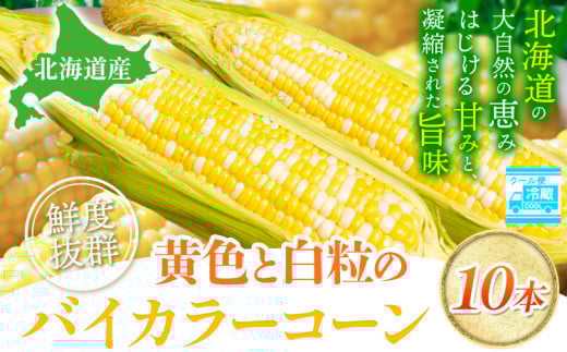 [1.12-358]【2025年先行予約】照之家商店 鮮度抜群 とうもろこし「黄色と白粒のバイカラーコーン」10本| とうもろこし トウモロコシ 北海道とうもろこし 朝採れとうもろこし 産地直送とうもろこし 北海道産とうもろこし st-p