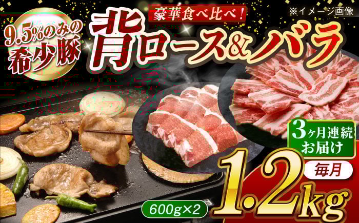 
            【月1回約1.2kg×3回定期便】大西海SPF豚 背ロース＆バラ（焼肉用）計約3.6kg 長崎県/長崎県農協直販 [42ZZAA105]
          