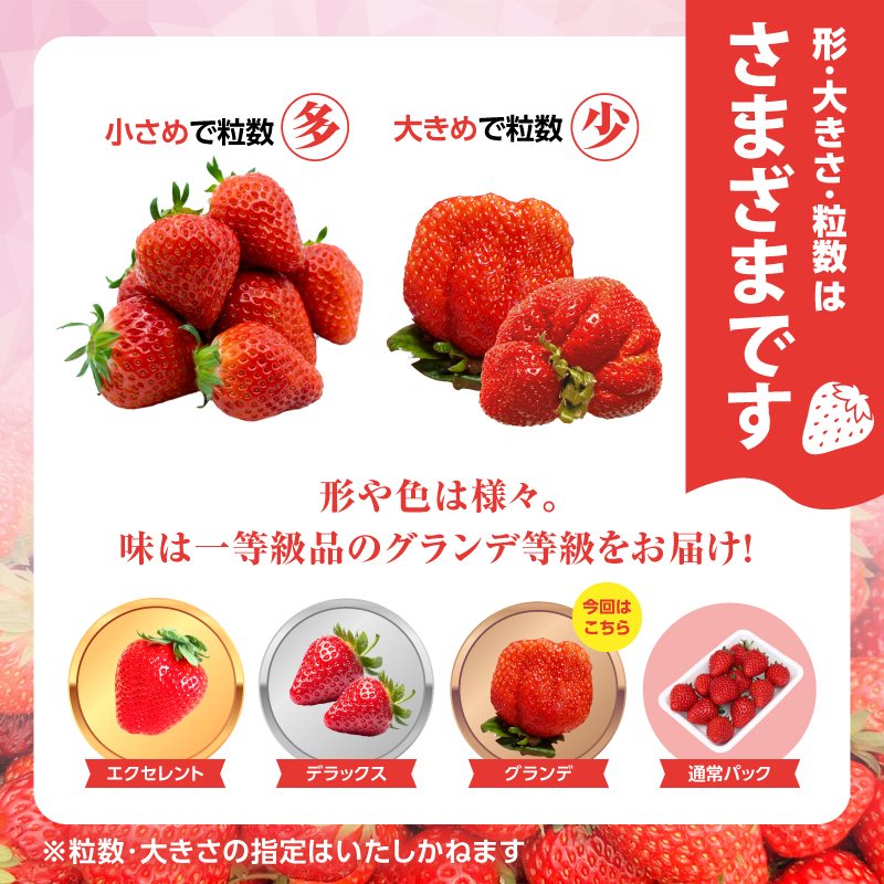 【先行受付：2025年2月発送開始】博多あまおうＧ270g×6パック｜ＪＡふくおか八女