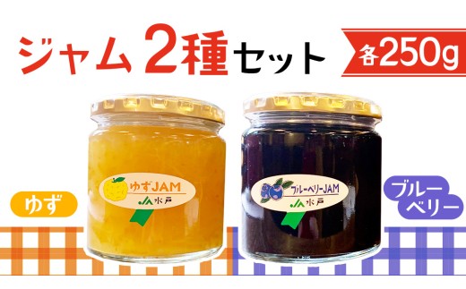 ジャム2種セット【ゆず・ブルーベリー】コンフィチュール フルーツジャム 2種類 yuzu ユズ blueberry パン 食パン 朝食 アレンジ お菓子作り ヨーグルト 炭酸水 炭酸割り 詰合せ 果物 フルーツ 茨城県 道の駅かつら (AF116)