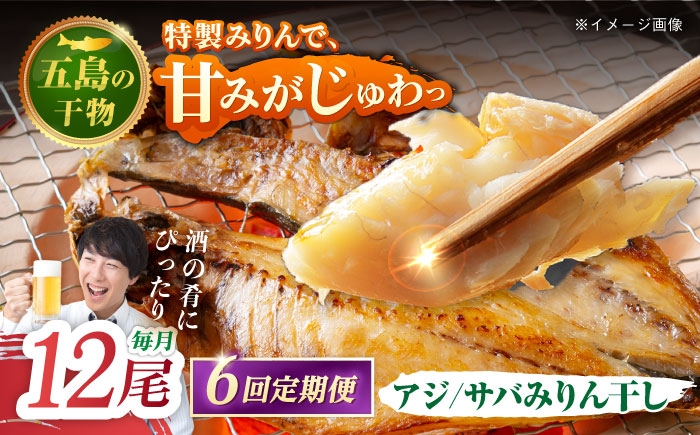 
            【6回定期便】【L】一夜干し みりん干し（アジ/サバ）計12尾 五島市/愛情食彩 [PCH031]
          