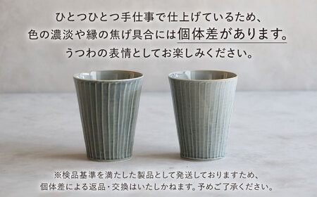 【波佐見焼】彫刻紋 藍墨 ピルスナー〈斜め彫・草林彫〉2点セット 【西海陶器】[OA519]