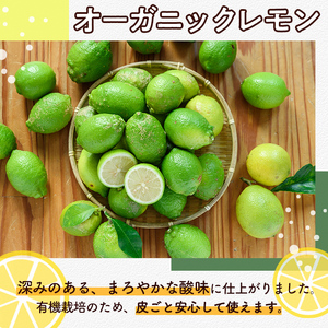 ＜先行予約受付中！2025年9月以降発送予定＞数量限定！有機JAS 訳ありオーガニックレモン(約5kg) 国産 訳あり レモン 檸檬 果実 果物 フルーツ 柑橘 デザート 期間限定 有機栽培 健康志向