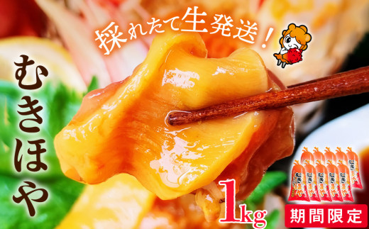《期間限定》 宮城県産 むきほや 1kg （100g×10）冷蔵 朝採り 小分け 新鮮 ほや 海鞘 ホヤ むき身 肉厚 生ほや お刺身 海鮮 魚介 珍味 おかず おつまみ 酒の肴 お取り寄せ グルメ 石巻市 石巻 宮城 宮城県