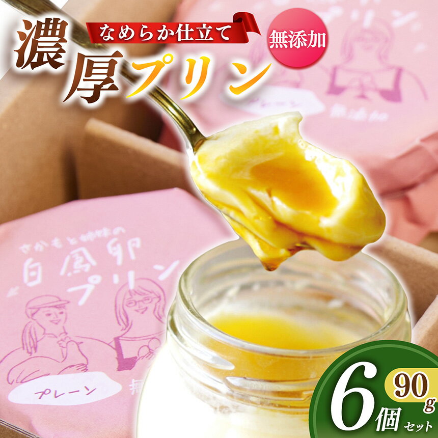 【ふるさと納税】さかもと 姉妹 の 白鳳 卵 プリン 6個 セット | プリン セット たまご 卵 タマゴ 牛乳 砂糖 洋菓子 レトロ スイーツ デザート お菓子 ギフト 贈り物 お楽しみ 冷蔵 奈良県 五條市