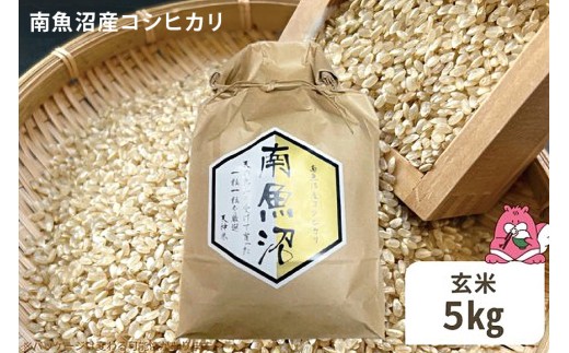 令和8年産 5kg〈玄米〉越後湯沢産 南魚沼産 コシヒカリ 豪雪を源とする水の恵み【湯沢産 コシヒカリ】