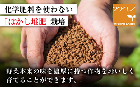 【先行予約】高糖度 トマト ミスズプレミアム トマト 「ルージュ」 約1kg（9個） ＜株式会社ミスズアグリ西海＞ [CFN001] トマト ﾄﾏﾄ とまと フルーツトマト ﾄﾏﾄ こだわりトマト ﾄ