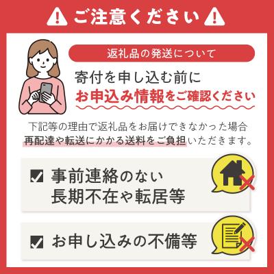ふるさと納税 富士市 定期便【全2回毎月発送】特選ティーパック マグ用 緑茶 2袋 [sf001-289] |  | 03