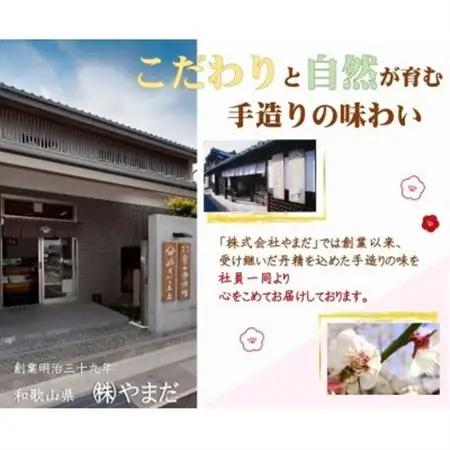 紀州南高梅はちみつ極塩分約6%(500g)【1593626】