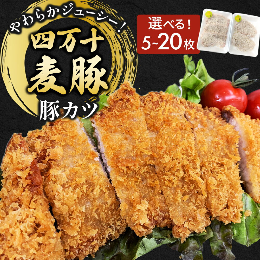 【ふるさと納税】四万十麦豚 豚カツ 選べる枚数（約100g×5枚～20枚）平野協同畜産 豚肉 麦豚 四万十麦豚 ブランド豚 トンカツ 豚カツ 冷凍カツ 豚ロース 背ロース