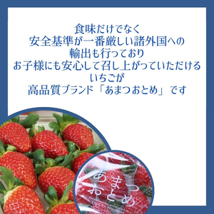 あまつおとめ いちご ミルク アイスクリーム 6個セット [ 五感で楽しむ至福のいちご 果物 フルーツ 苺 イチゴ ブランド 人気 菓子 アイス ジェラート ]