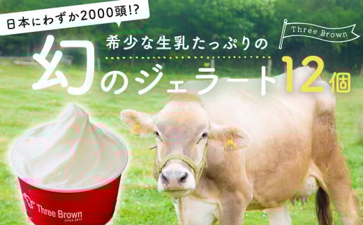 ジェラート 幻の牛の生乳から作る 無添加ジェラート 12個 ｜ジェラート 無添加 ミルク いちご ブルーベリー 旬の味 お任せフレーバー 旬 生乳 高級 美味しい 人気 リッチ 極上 乳製品 新鮮 定番 なめらか 自然 アイス 冷たい ミルク デザート おやつ 贈り物 贈答 食後 口直し 群馬県 前橋市