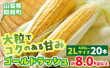【先行予約】山梨県産ゴールドラッシュ2Lサイズ×20本セット SWBS003